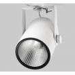 Projecteur LED sur rail 55W WFL RAY 1T3694Z3 4000k blanc froid RA97