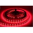 Ruban LED 12V 60led/m Rouge 4.8W au mètre 5mètres