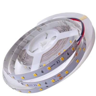 Ruban Led 12W blanc 6000K-8000k 1260lm/m 24V