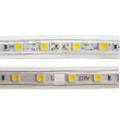 Rouleau LED 50m 10W/m 840lm 220V AC SMD5050 60 LED/m ROUGE IP65