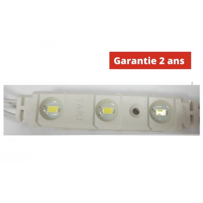 Chaine de 50 modules de 3points 1.08W/module 12v Etanche IP67