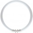 PHILIPS MASTER TL5 Circular 55W/830 1CT