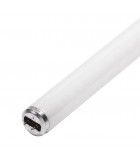 Tube T12 diametre 38mm rapid star