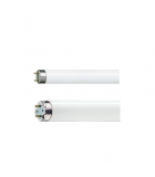 Tube fluorescent