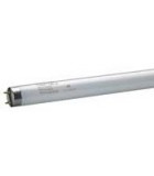 Tube fluo forme T8 diamètre 26mm